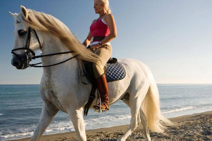 Casablanca Sunset Fun Horseback Ride on the Beach 2