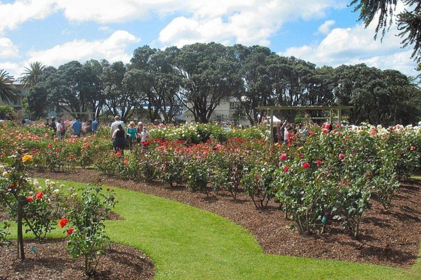 Un giardino con diverse piante fiorite e una zona erbosa. 5