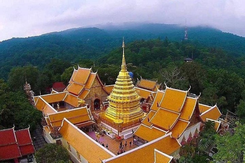 A golden pagoda surrounded by traditional architecture, set against a lush green forest backdrop. 2