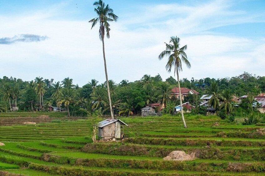 Bohol Private Tour: Anda, Candijay & Alicia Panoramic Park Hills 4