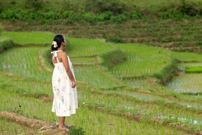 Bohol Private Tour: Anda, Candijay & Alicia Panoramic Park Hills 4