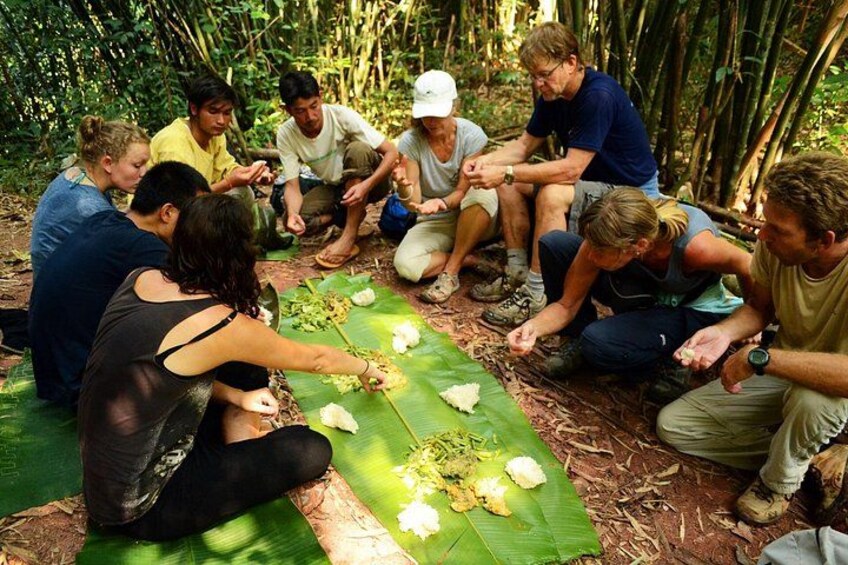 A group of people sitting on the ground outdoors, engaged in an activity involving a large green leaf. 5