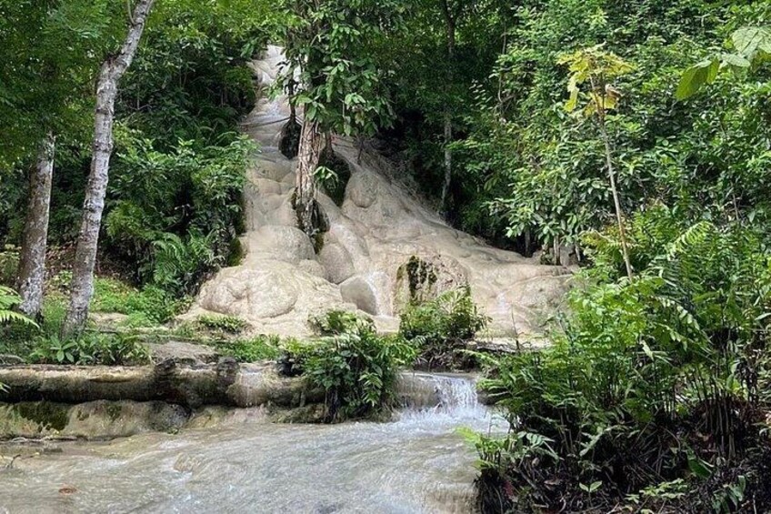 Une cascade située dans une zone boisée, avec une falaise rocheuse et un petit ruisseau. 4