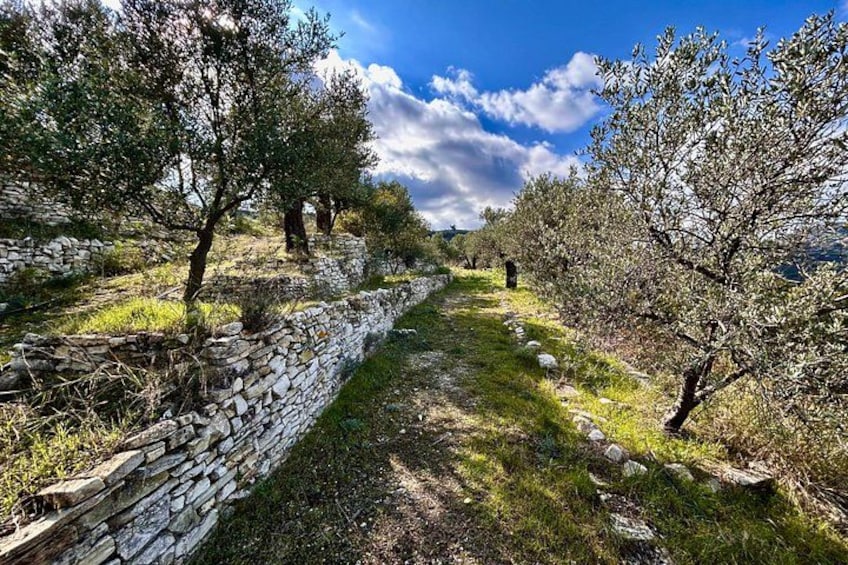 Cyprus: Private Lefkara Village & Olive Oil Tasting Tour 2