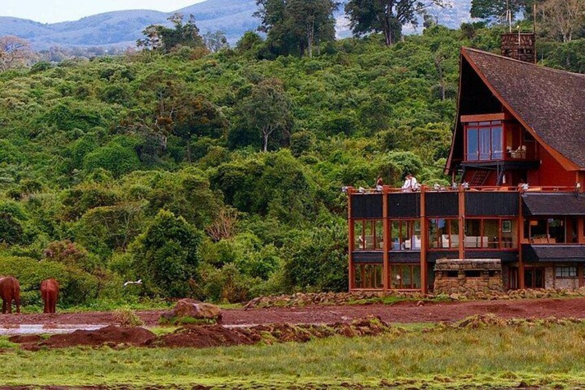 A wooden cabin with a balcony overlooking a lush forest. 5