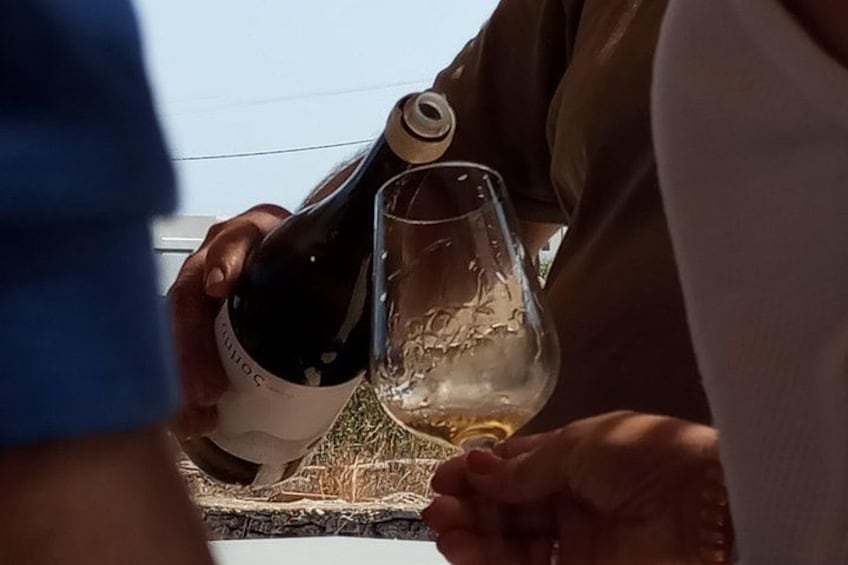 Paros Wine Tasting at a Local Winery 2