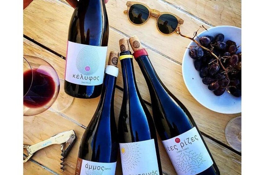 Paros Wine Tasting at a Local Winery 3