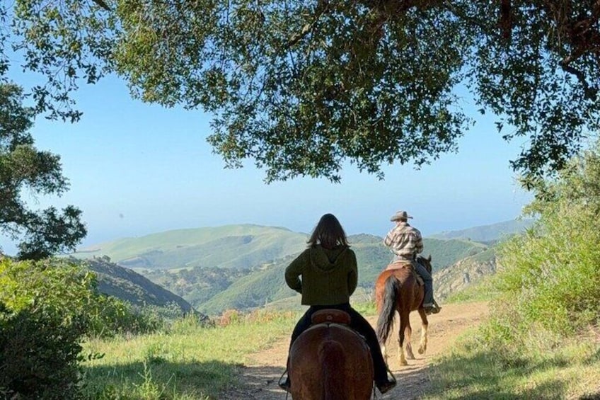 Private Horseback Riding and Wine Tasting Tour 2