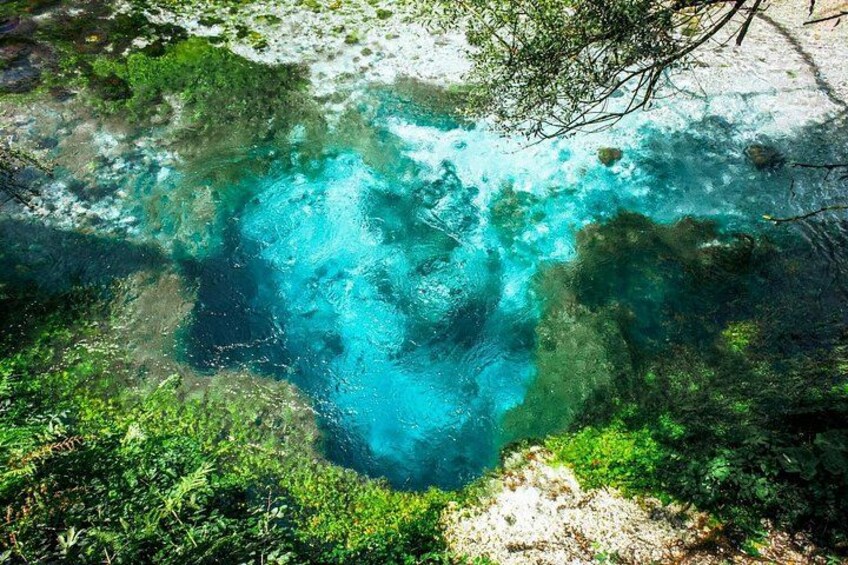 A clear blue water body surrounded by greenery. 1