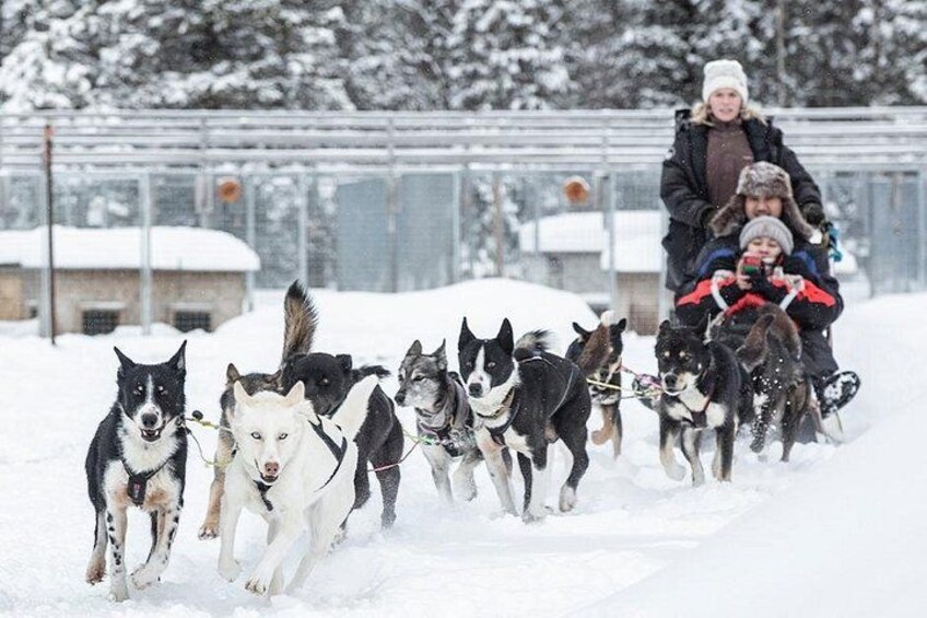 En grupp slädhundar drar en släde med människor som åker på den, i ett snötäckt landskap. 5