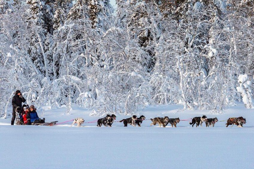 Ett snötäckt landskap med en grupp slädhundar som drar en släde. 4