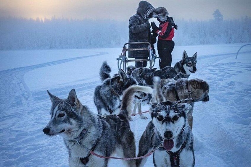 En grupp huskies som drar en släde i ett snötäckt landskap. 2