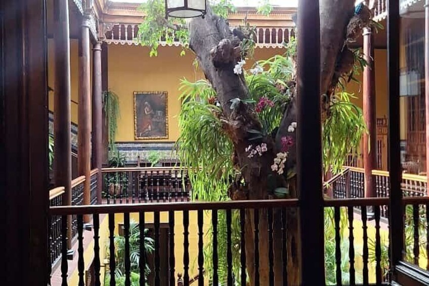 A courtyard with a wooden fence, a tree with hanging plants, and a yellow wall with a framed picture. 5