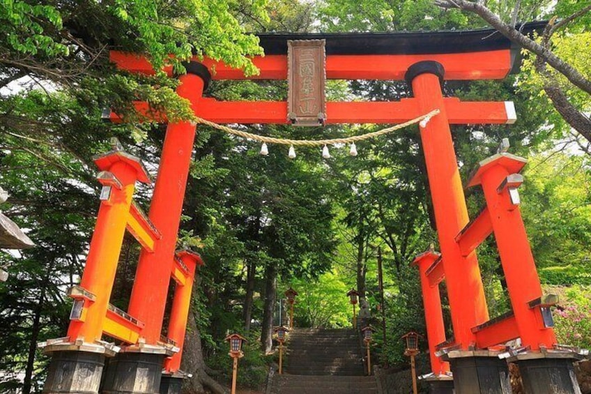 Un tradicional torii japonés con pilares rojos y una viga de madera en la parte superior, rodeado de exuberante vegetación. 4