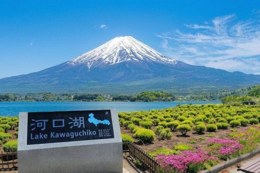 Mount Fuji and Lake Kawaguchiko Panoramic Ropeway Day Trip 5