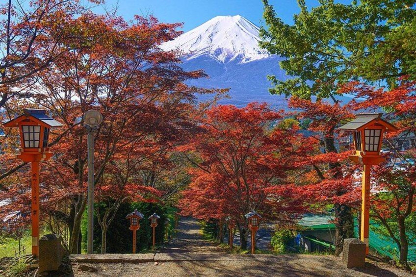 Mount Fuji and Lake Kawaguchiko Panoramic Ropeway Day Trip 4