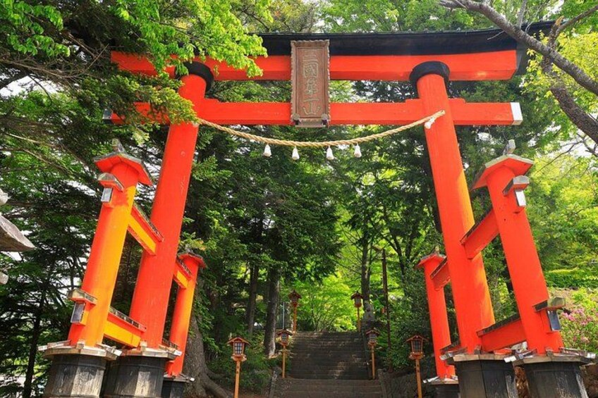 Mount Fuji and Lake Kawaguchiko Panoramic Ropeway Day Trip 4
