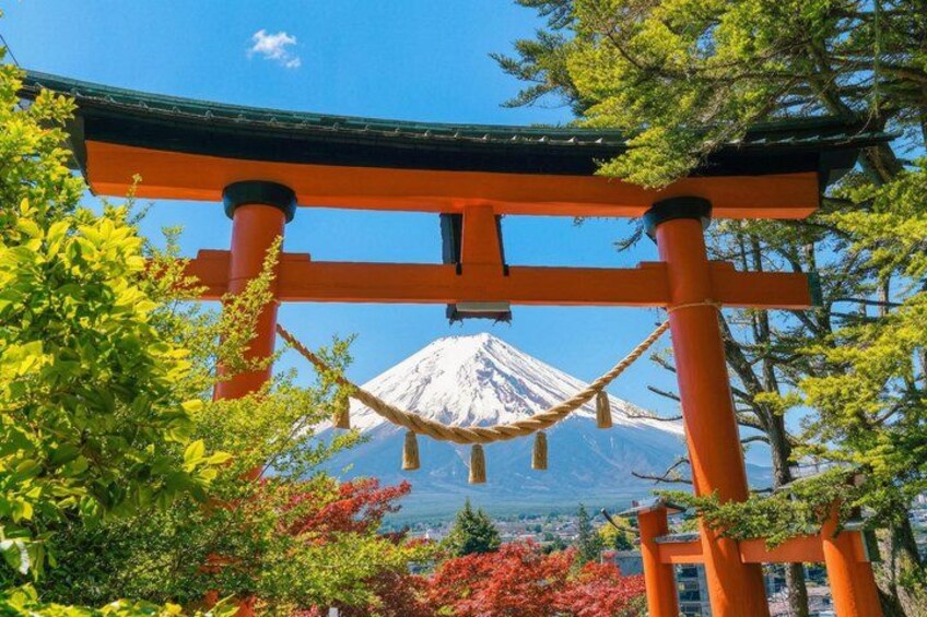 Mount Fuji and Lake Kawaguchiko Panoramic Ropeway Day Trip 5