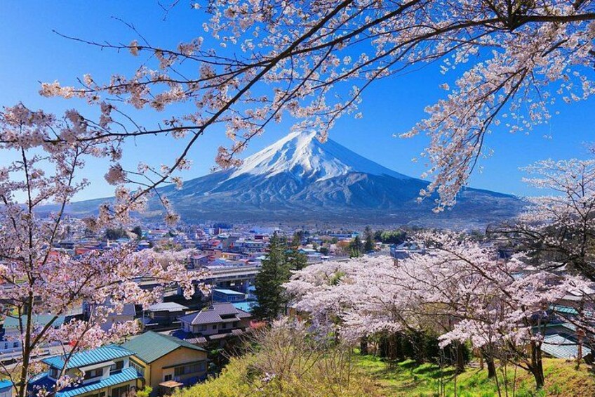 Mount Fuji and Lake Kawaguchiko Panoramic Ropeway Day Trip 2