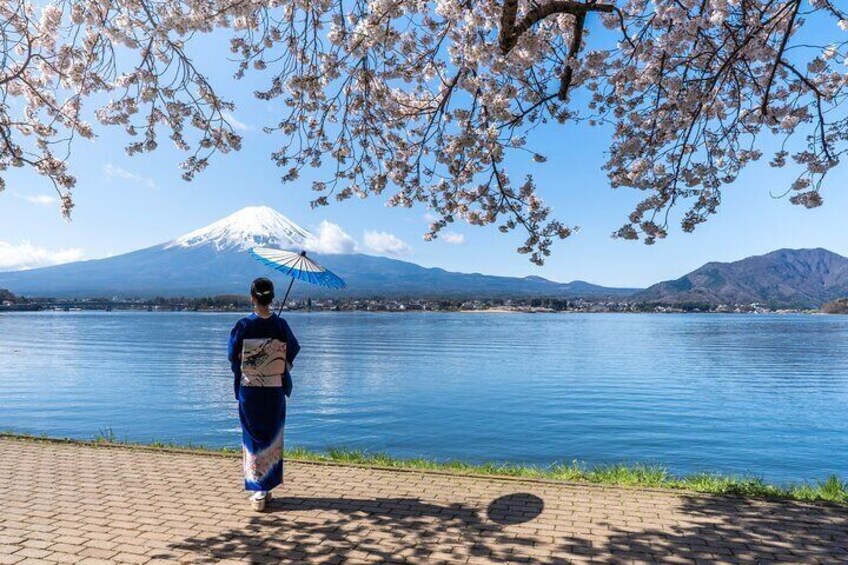 Mount Fuji and Lake Kawaguchiko Panoramic Ropeway Day Trip 2