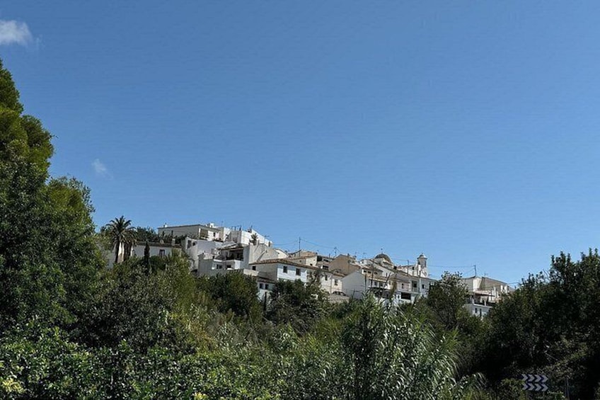A hillside settlement with white buildings, dense greenery, and a clear blue sky. 3