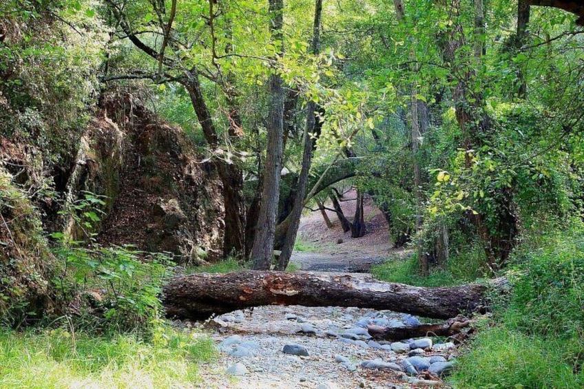 Bridge 3