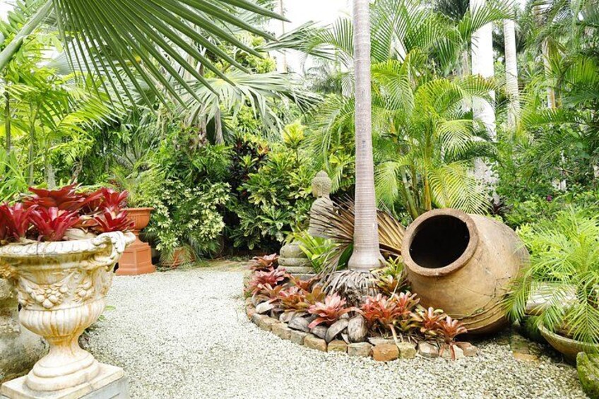 A garden with various plants, a large pot, and a palm tree. 2