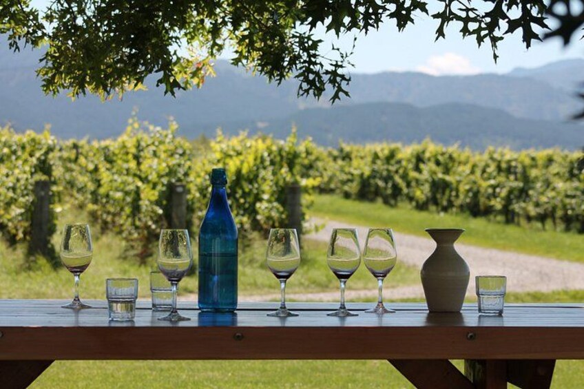 A picnic table with wine glasses and a bottle in a vineyard. 3