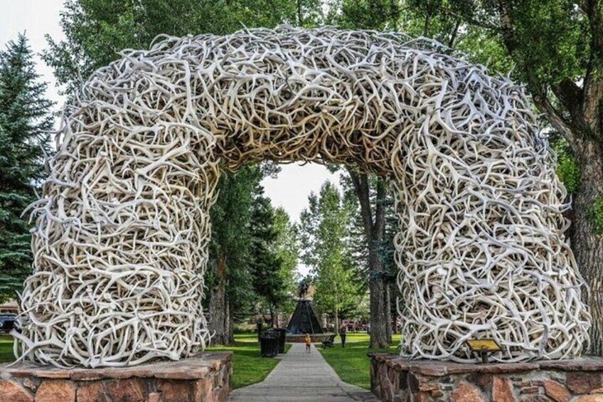 Un arco hecho con ramas entrelazadas en un parque. 2