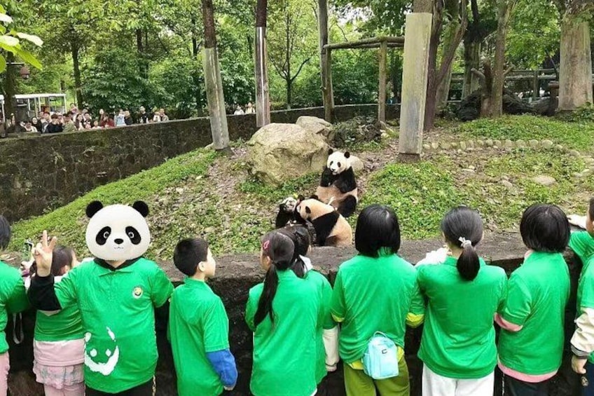 Wolong Panda Base Private Day Tour Optional Volunteering 5
