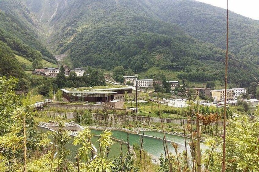 Wolong Panda Base Private Day Tour Optional Volunteering 4