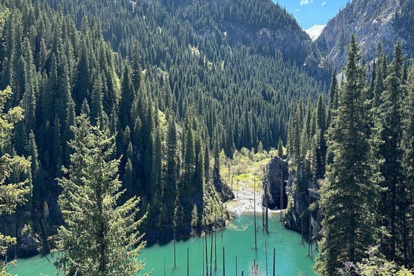 A forested valley with a turquoise river, a rocky outcrop, and a mountain range in the background. 4