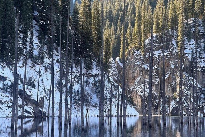 Une forêt avec de grands arbres et un lac paisible où se reflètent les arbres. 1