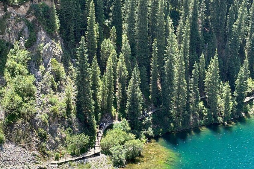 Een dicht bos met een helderblauwe meer. 1