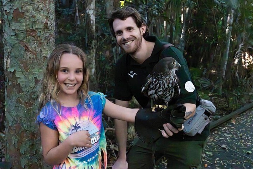 Buderim Forest Flight Owl Encounter and Tour 4