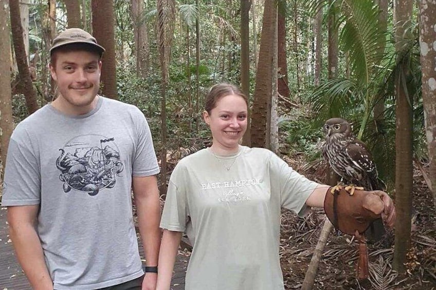 Buderim Forest Flight Owl Encounter and Tour 3