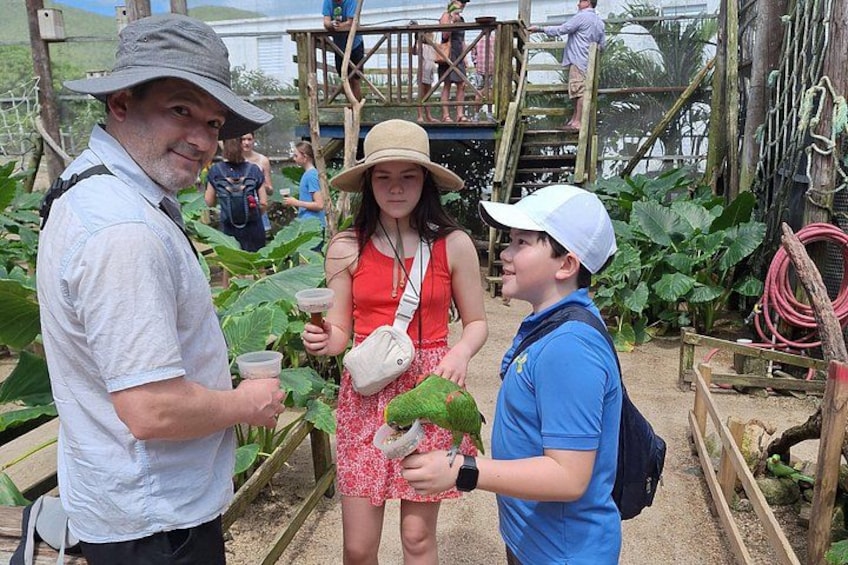 Un grupo de personas en un jardín con plantas y estructuras de madera. 5