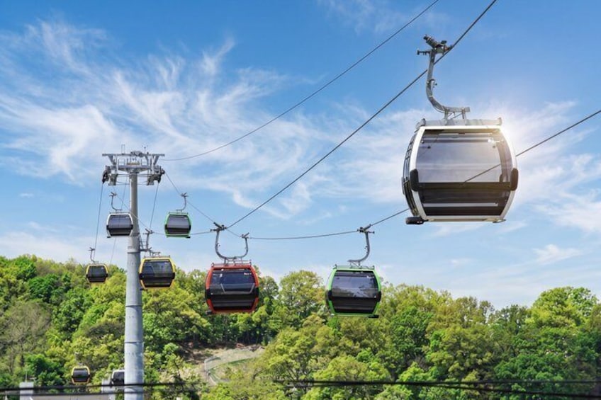 Paju DMZ Gondola and Ginseng Farm tour from Seoul 2
