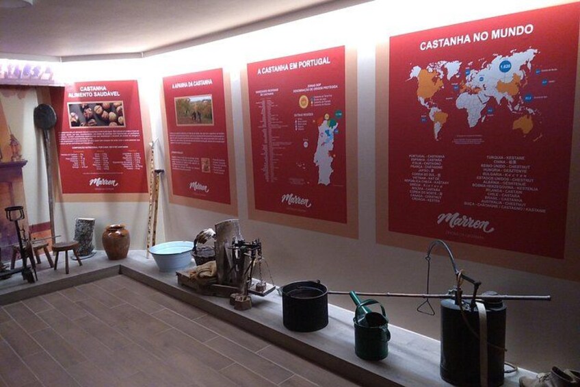 Interpretive Center 5