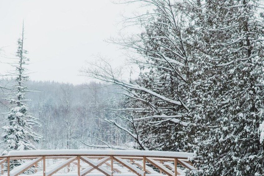 A snowy landscape with a wooden deck. 2