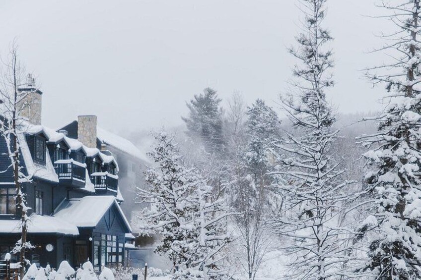 A snow-covered house with a steep roof and a chimney, surrounded by snow-laden trees. 5