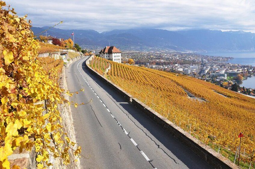 From Zurich: Swiss Cheese, Chocolate & Wine Private Tour 2