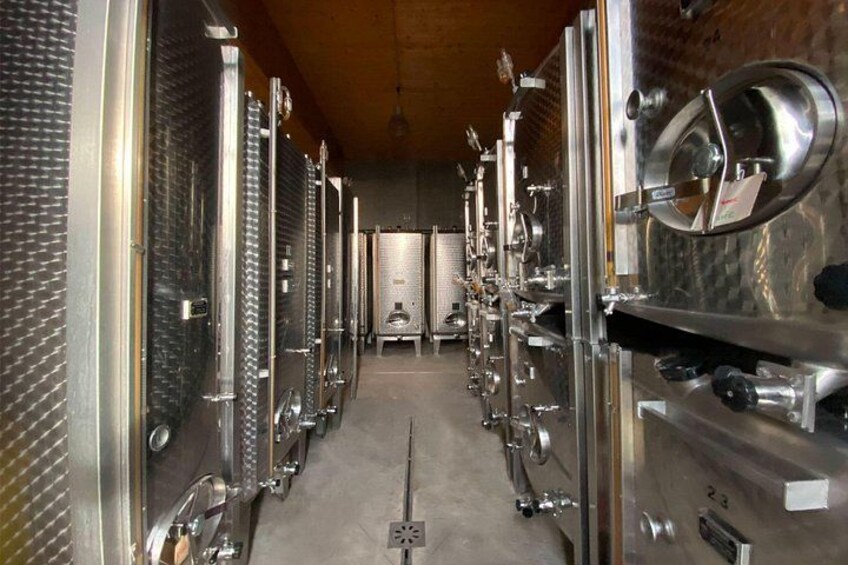 Wine cellar visit and feminine tasting - gourmet formula 3