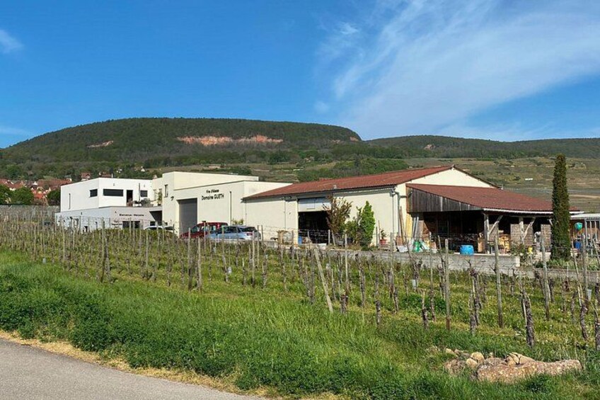 Wine cellar visit and feminine tasting - gourmet formula 2