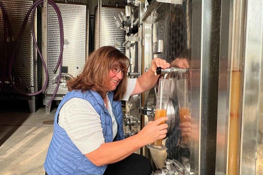 Wine cellar visit and feminine tasting - gourmet formula 4