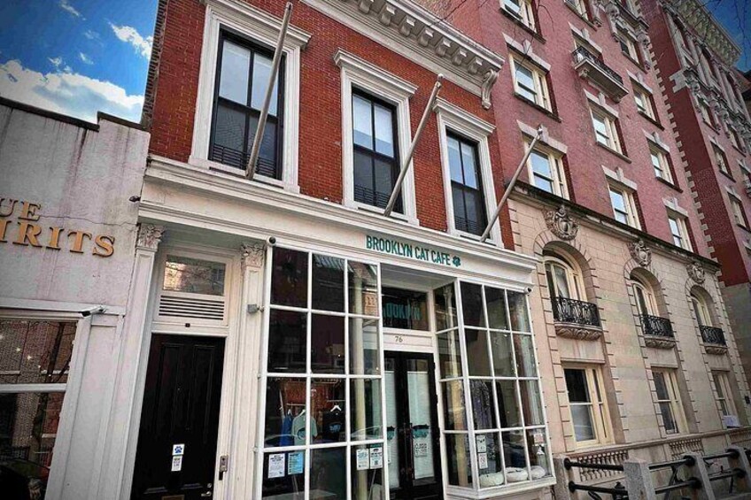 Splendor and Scandal in Brooklyn Heights: A Self Guided Tour 2