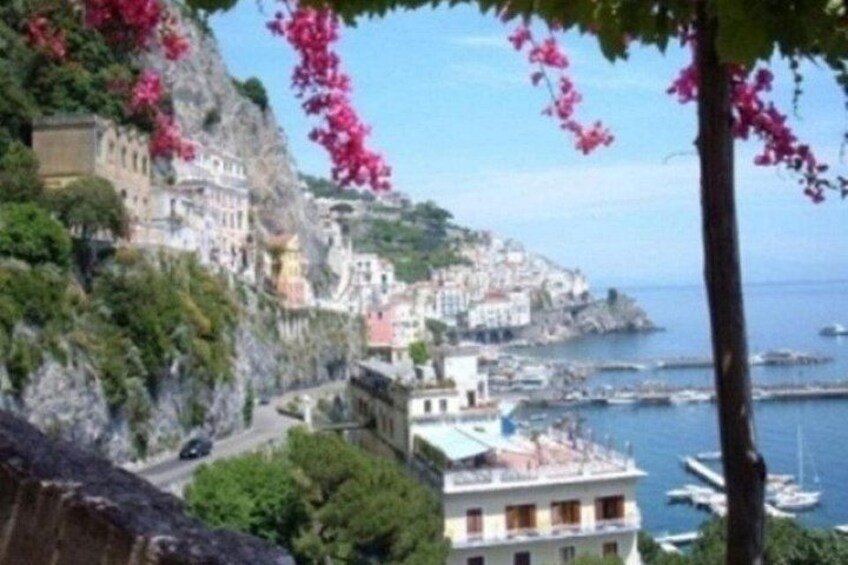 A coastal town with buildings on a cliff, boats in the water, and pink flowers. 1