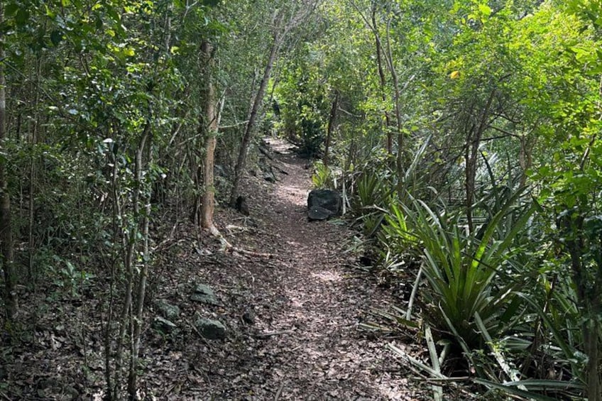 mount alma trail 4