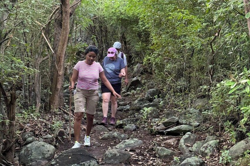 trail to mount alma 3