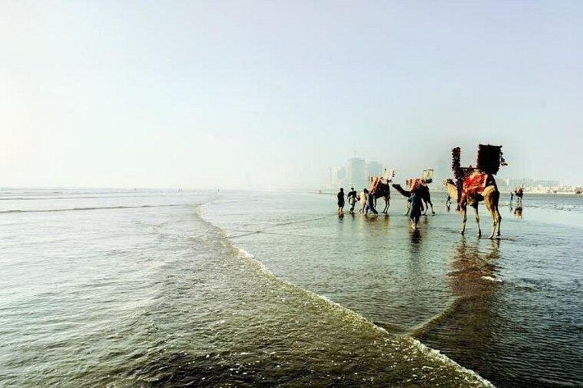 A beach with people riding camels. 5
